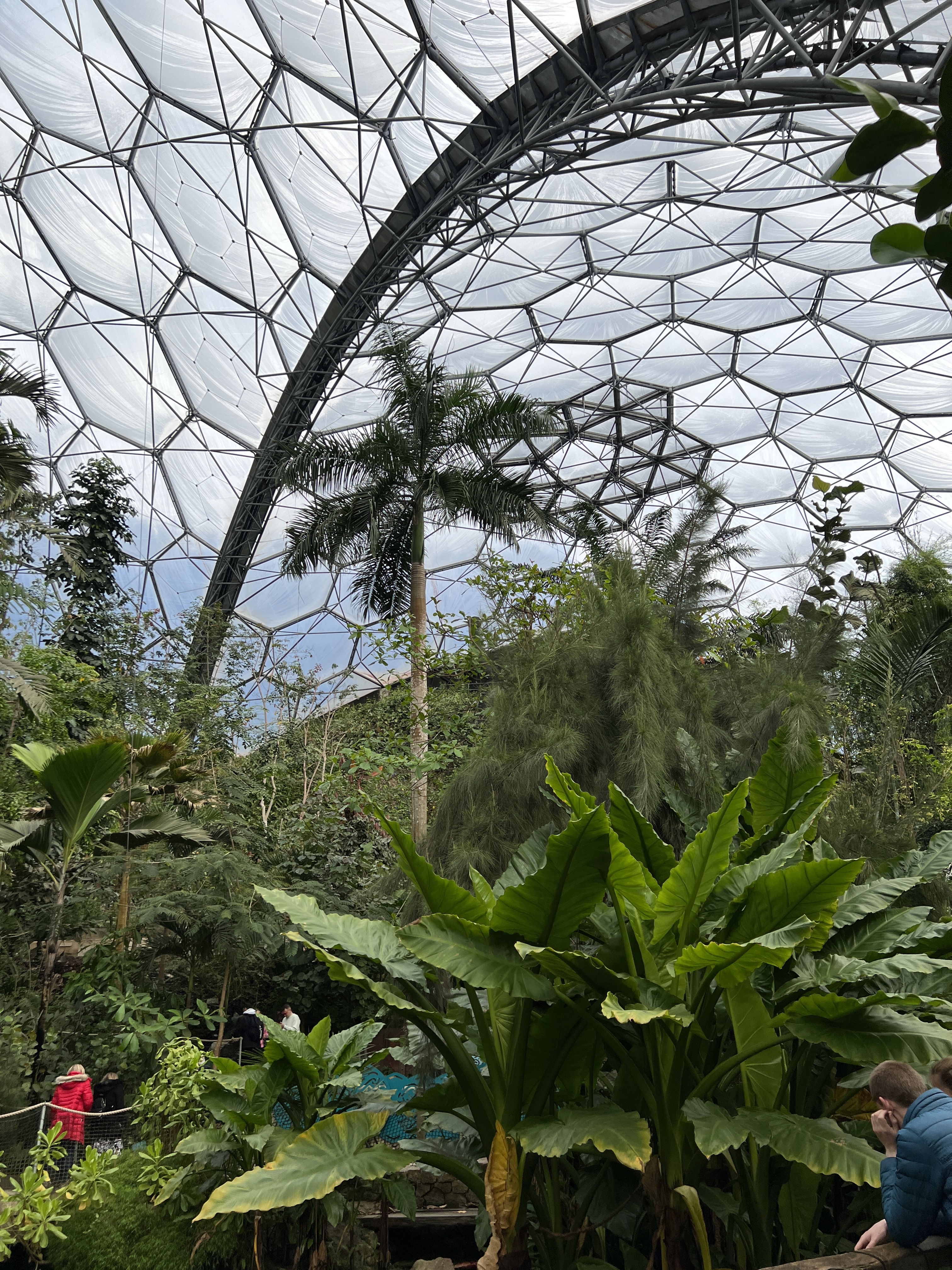 inside the rainforest dome